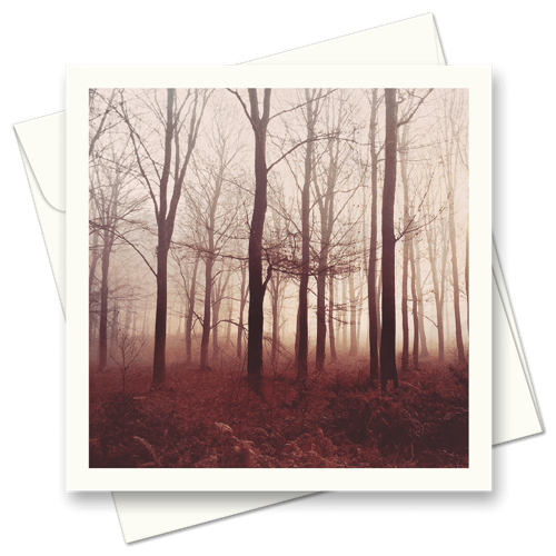 Picture of Forest Autumn Mist | Card
