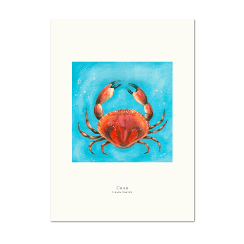 Picture of Crab | Small Print