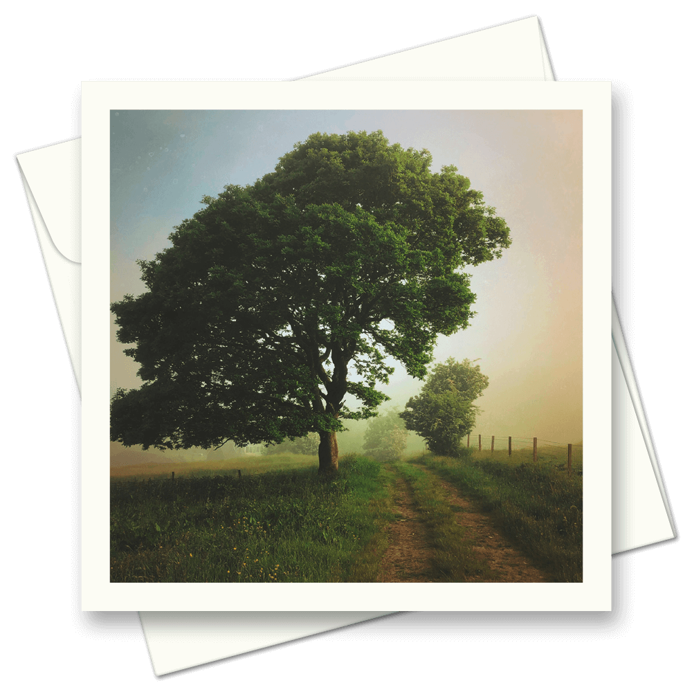 Picture of Spring Mist | Card