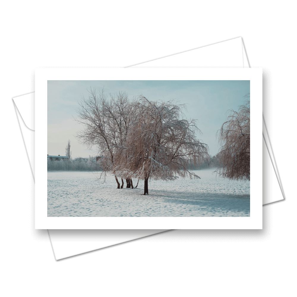 Picture of Snowy Field | Card