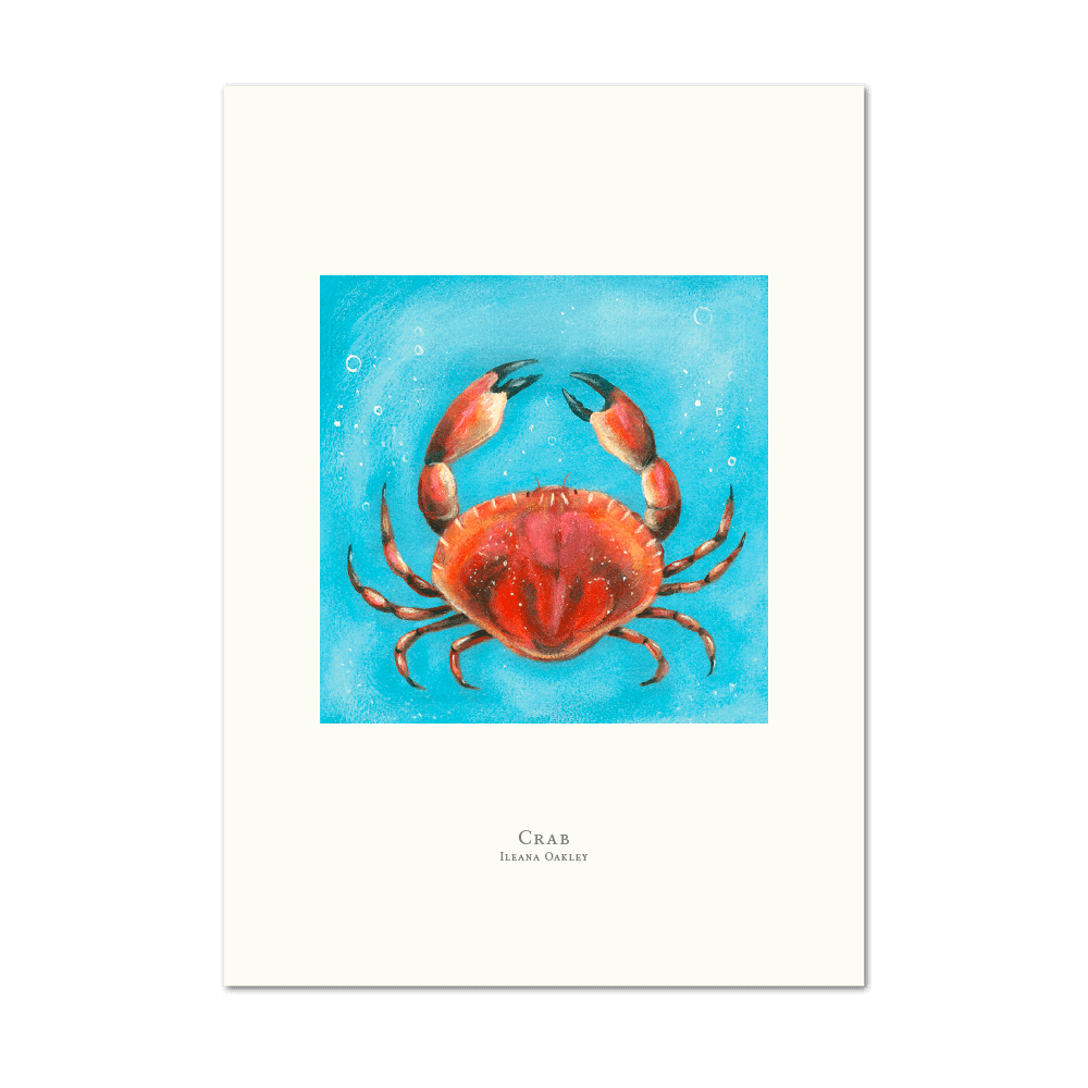 Picture of Crab | Large Print