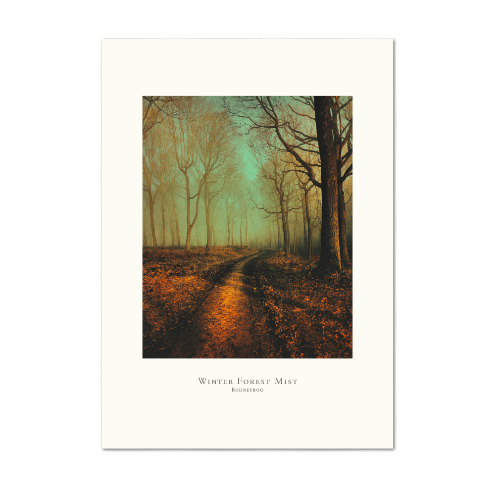 Picture of Winter Forest Mist | Large Print