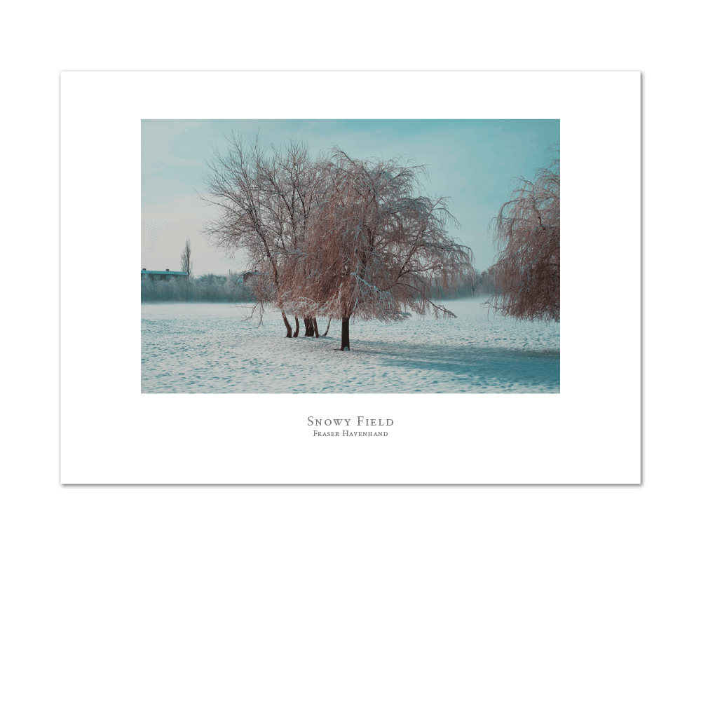 Picture of Snowy Field | Large Print