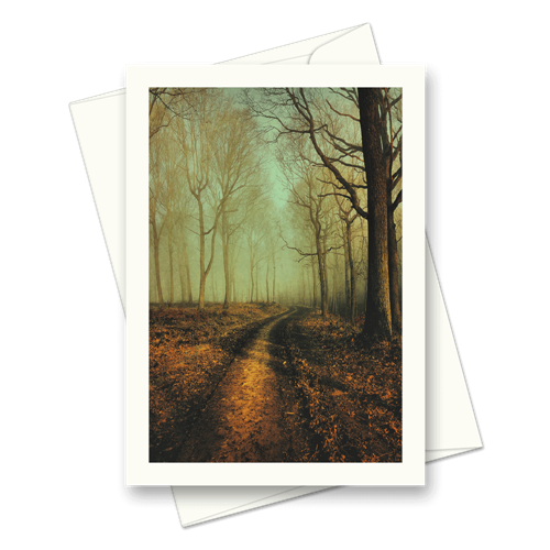 Picture of Winter Forest Mist | Card