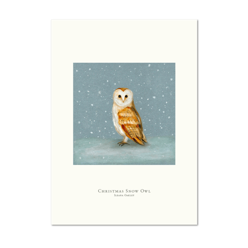 Picture of Christmas Snow Owl | Small Print