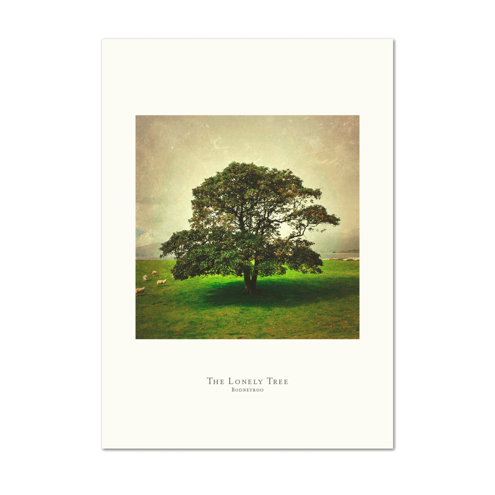 Picture of The Lonely Tree | Small Print