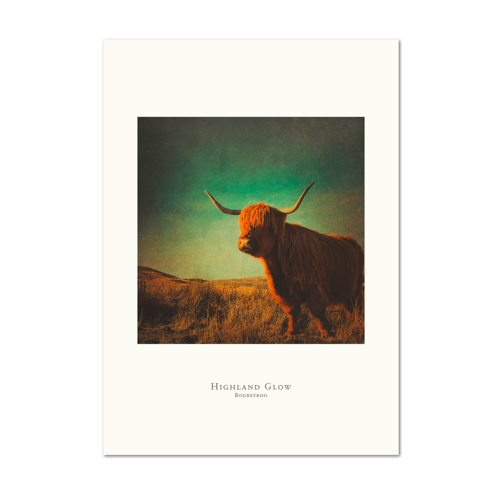 Picture of Highland Glow | Large Print