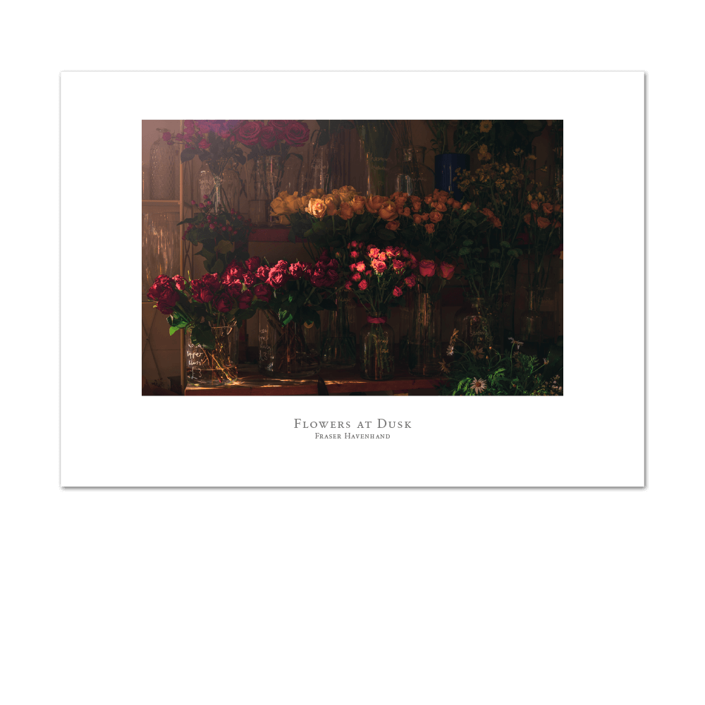 Picture of Flowers At Dusk | Small Print