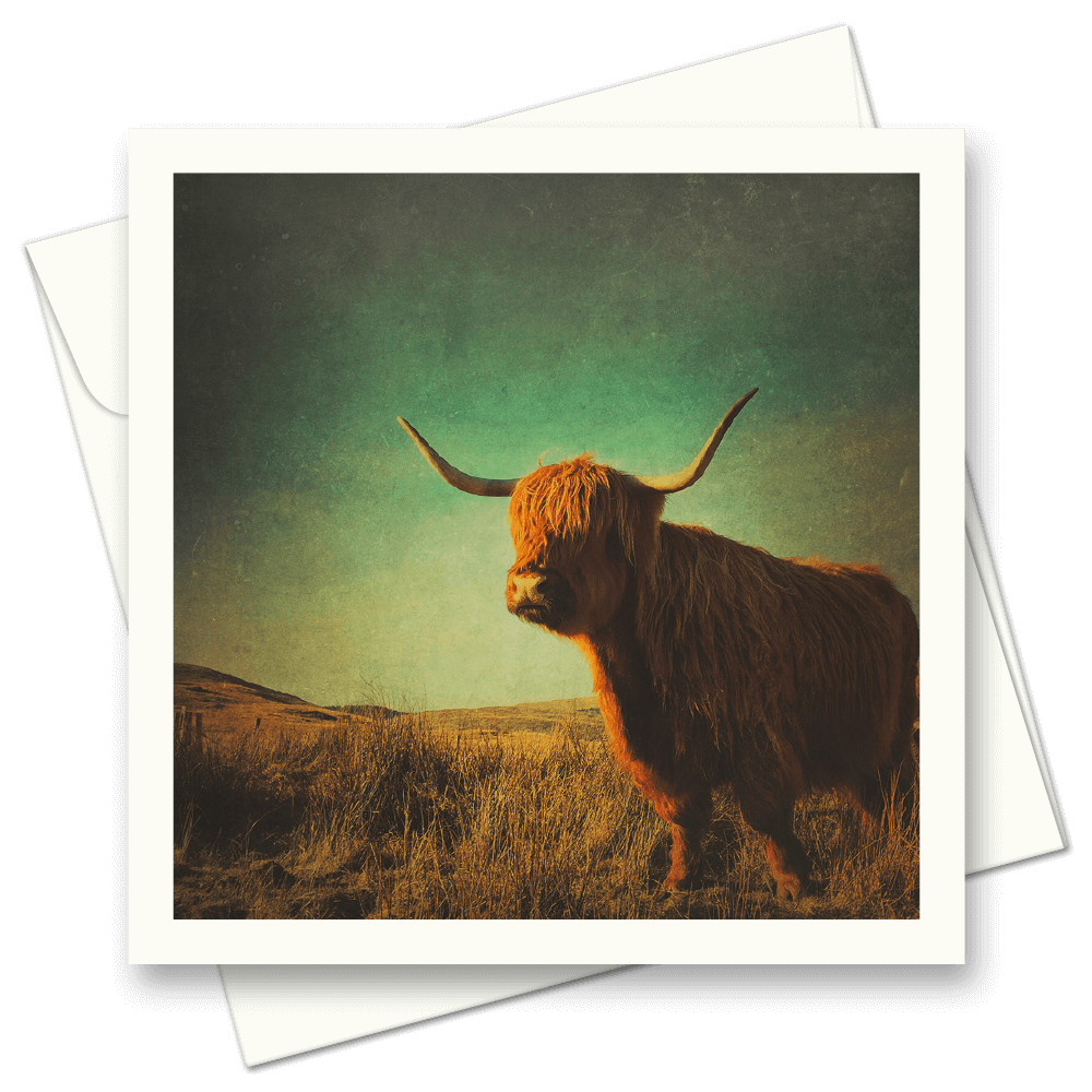 Picture of Highland Glow | Card