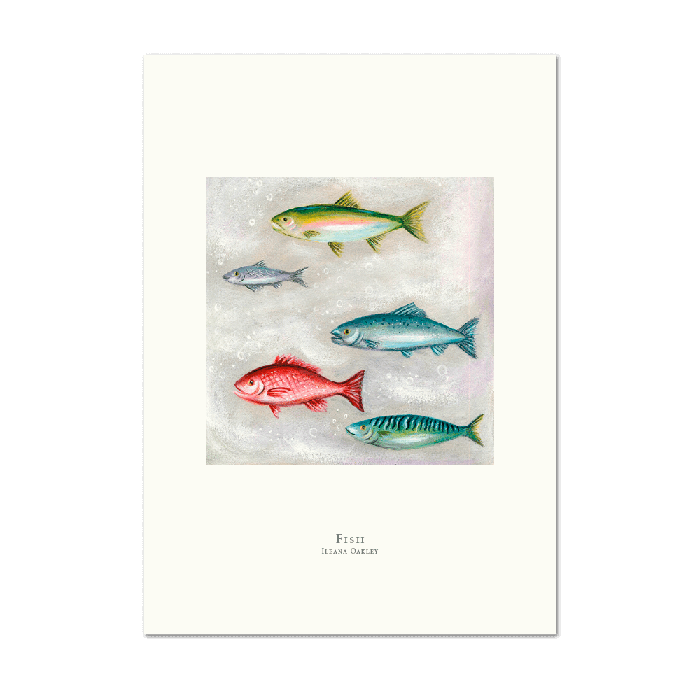 Picture of Fish | Large Print