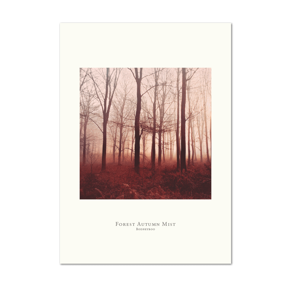 Picture of Forest Autumn Mist | Large Print
