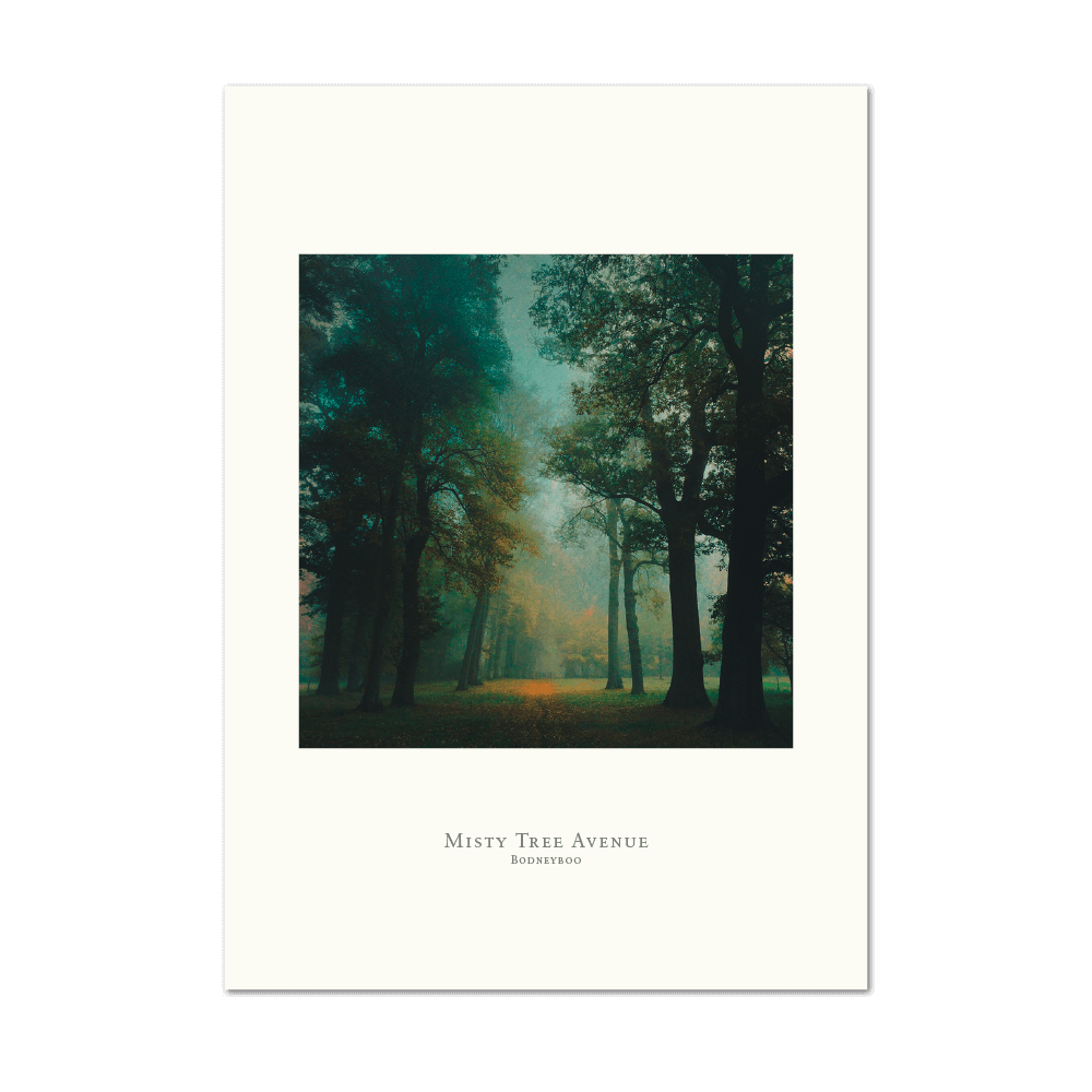 Picture of Misty Tree Avenue | Large Print