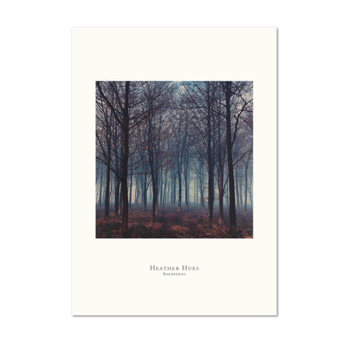 Picture of Heather Hues | Small Print