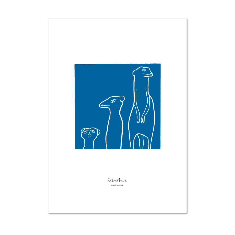 Picture of Meerkat Blue | Large Print