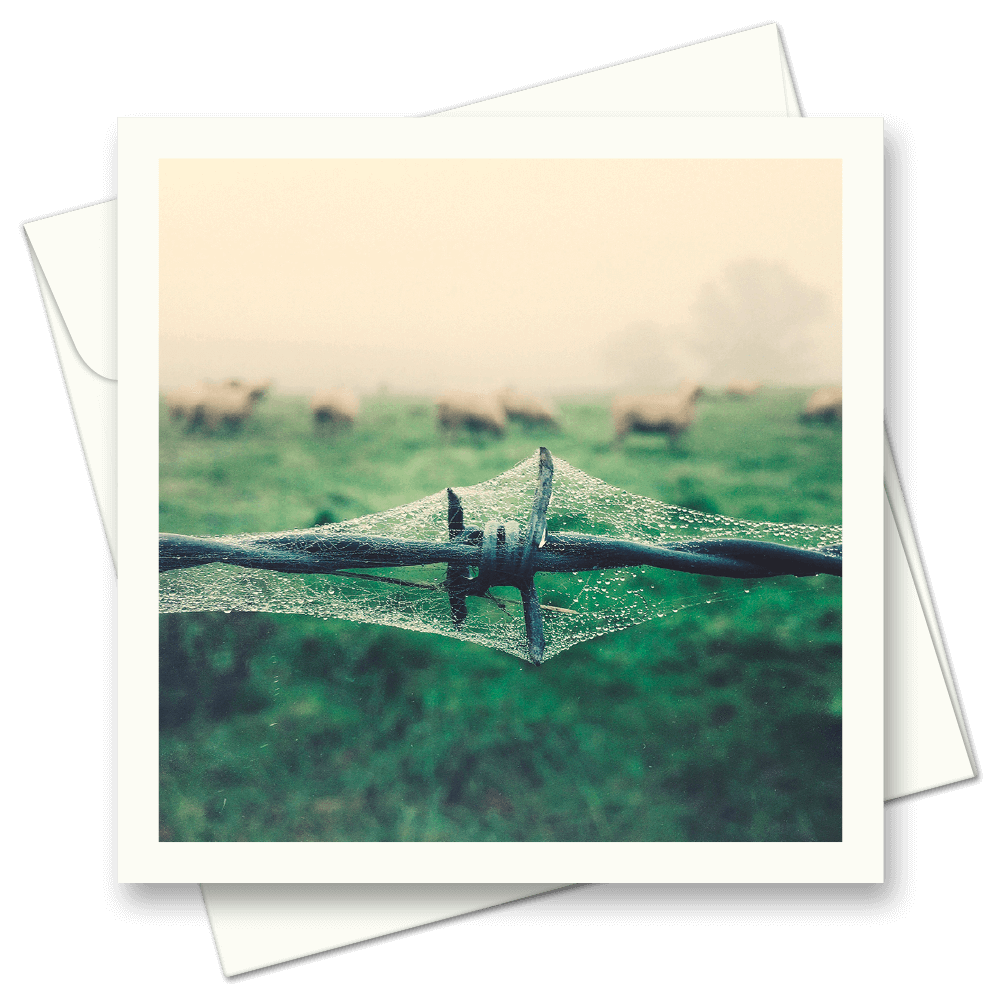 Picture of Droplets and Mist | Card