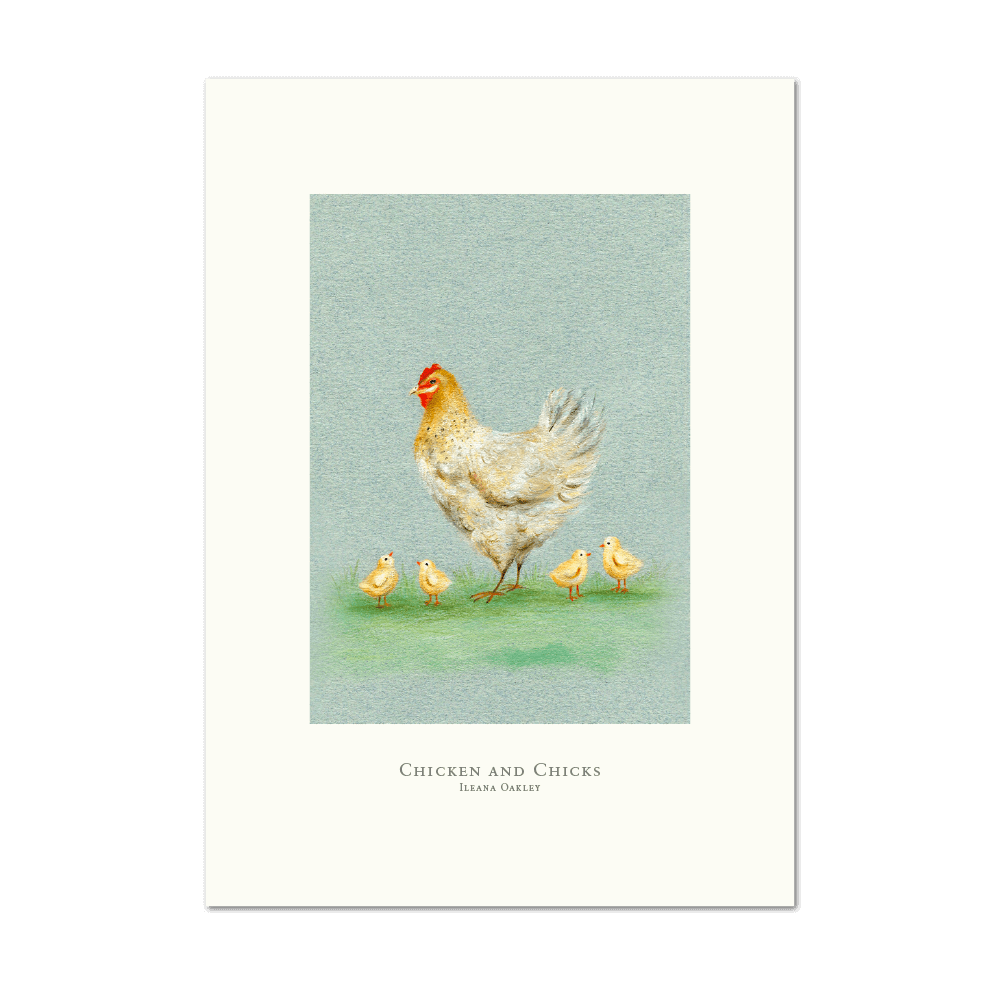Picture of Chicken and Chicks | Small Print