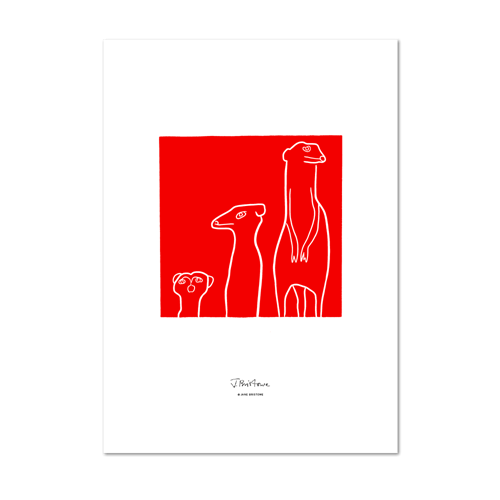 Picture of Meerkat Red | Small Print