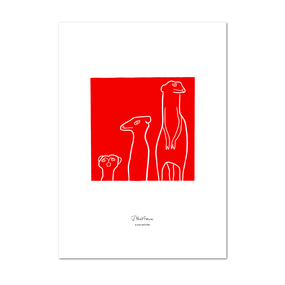 Picture of Meerkat Red | Large Print