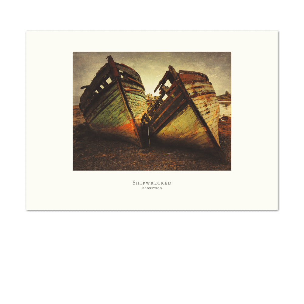 Picture of Shipwrecked | Large Print