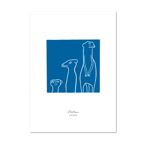 Picture of Meerkat Blue | Small Print