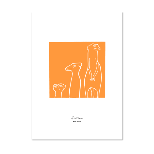 Picture of Meerkat Orange | Small Print