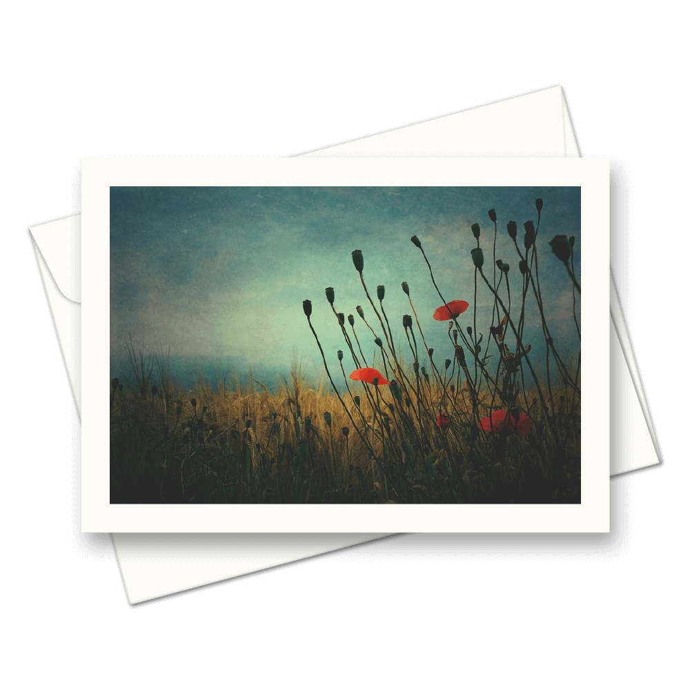 Picture of Field Poppies | Card