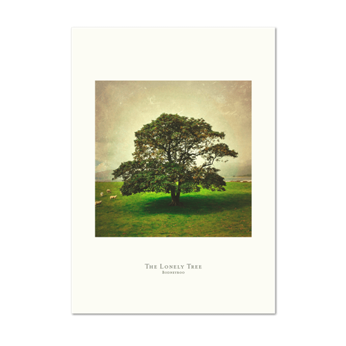 Picture of The Lonely Tree | Small Print