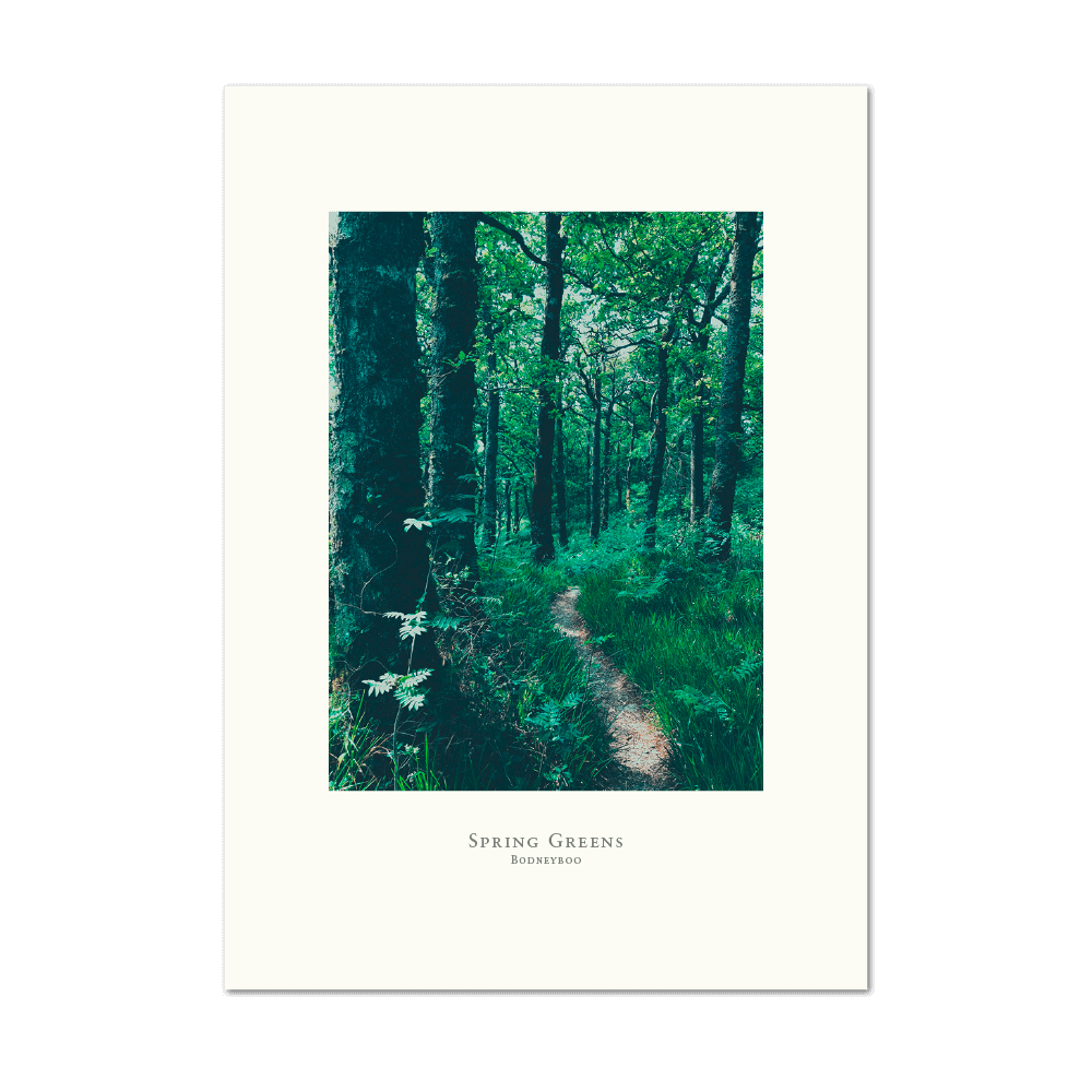 Picture of Spring Greens | Large Print