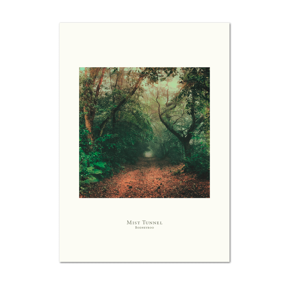 Picture of Mist Tunnel | Small Print