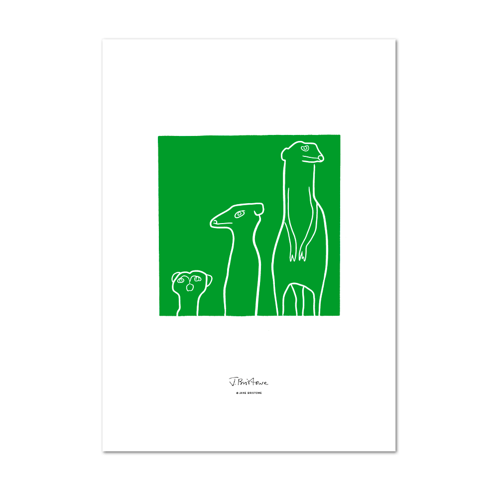 Picture of Meerkat Green | Large Print