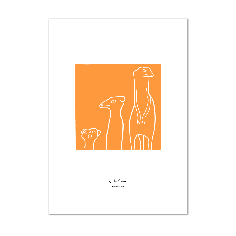 Picture of Meerkat Orange | Large Print