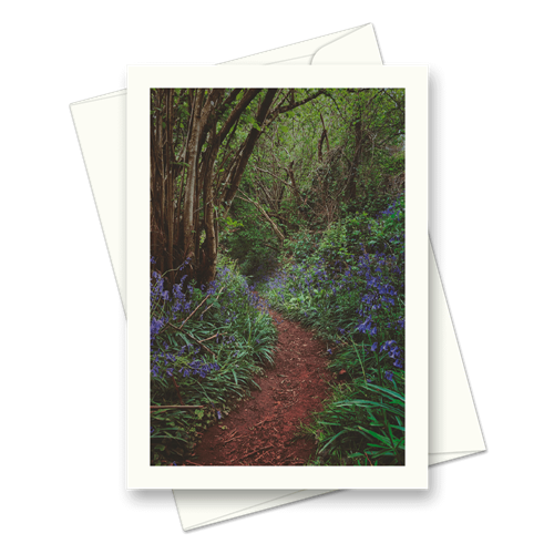 Picture of Woodland Bluebells | Card