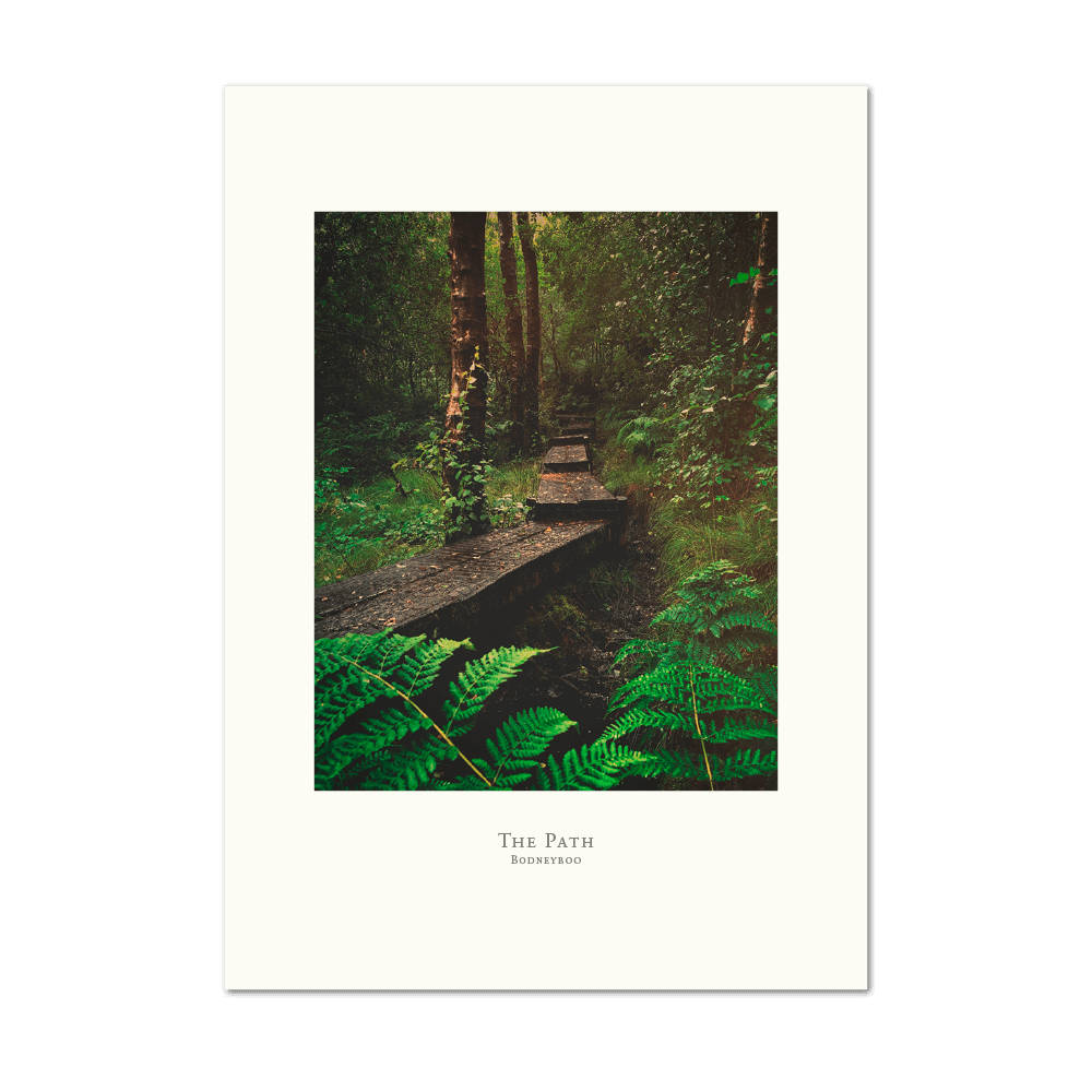 Picture of The Path | Large Print
