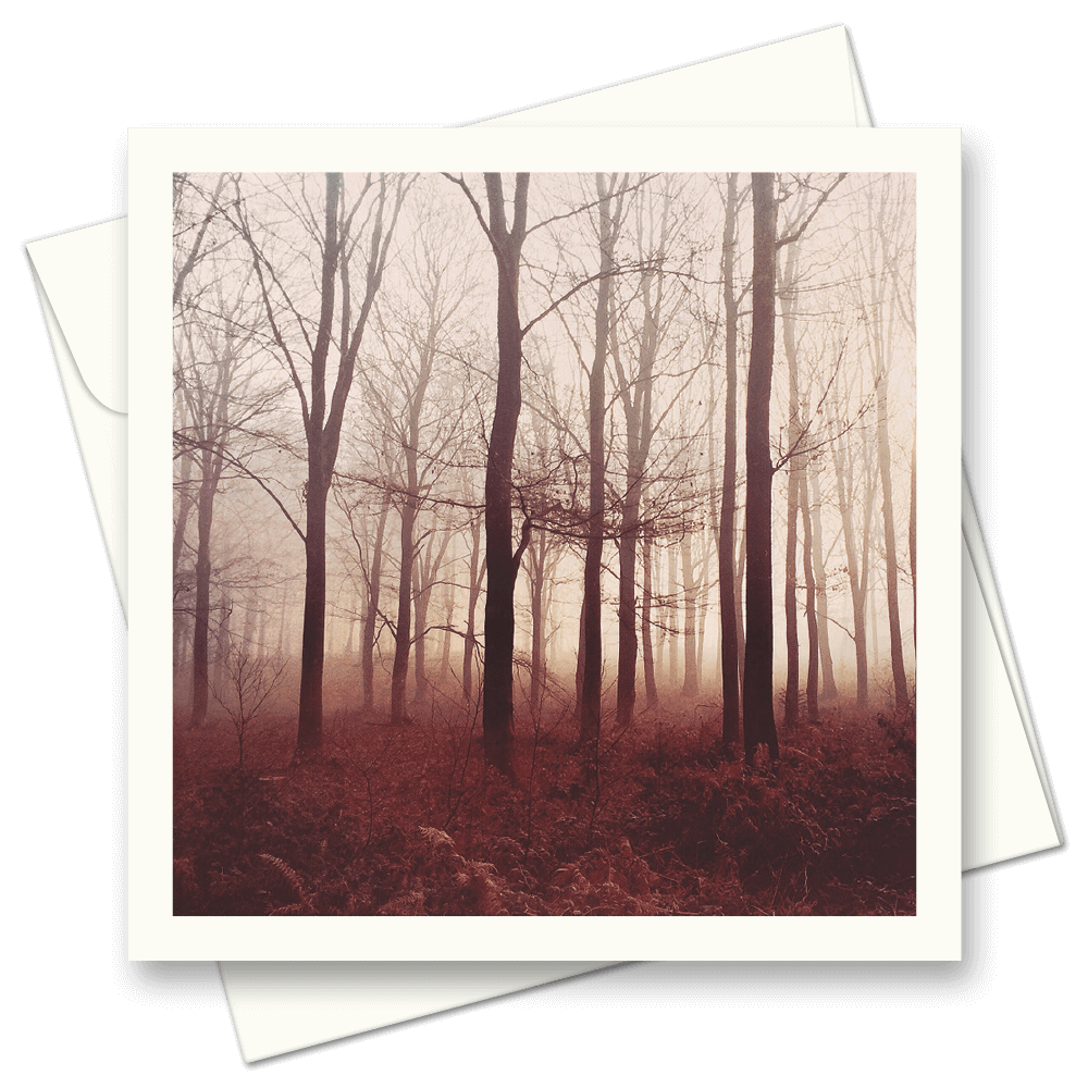 Picture of Forest Autumn Mist | Card