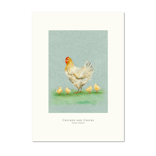 Picture of Chicken and Chicks | Small Print