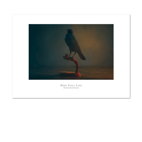 Picture of Bird Still Life | Small Print