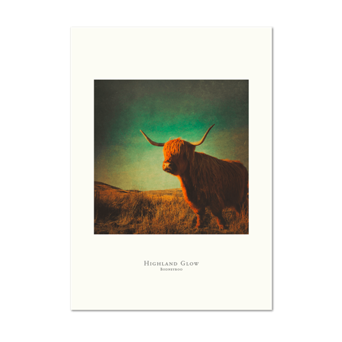Picture of Highland Glow | Small Print