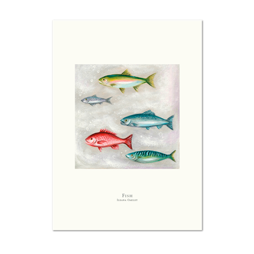 Picture of Fish | Small Print