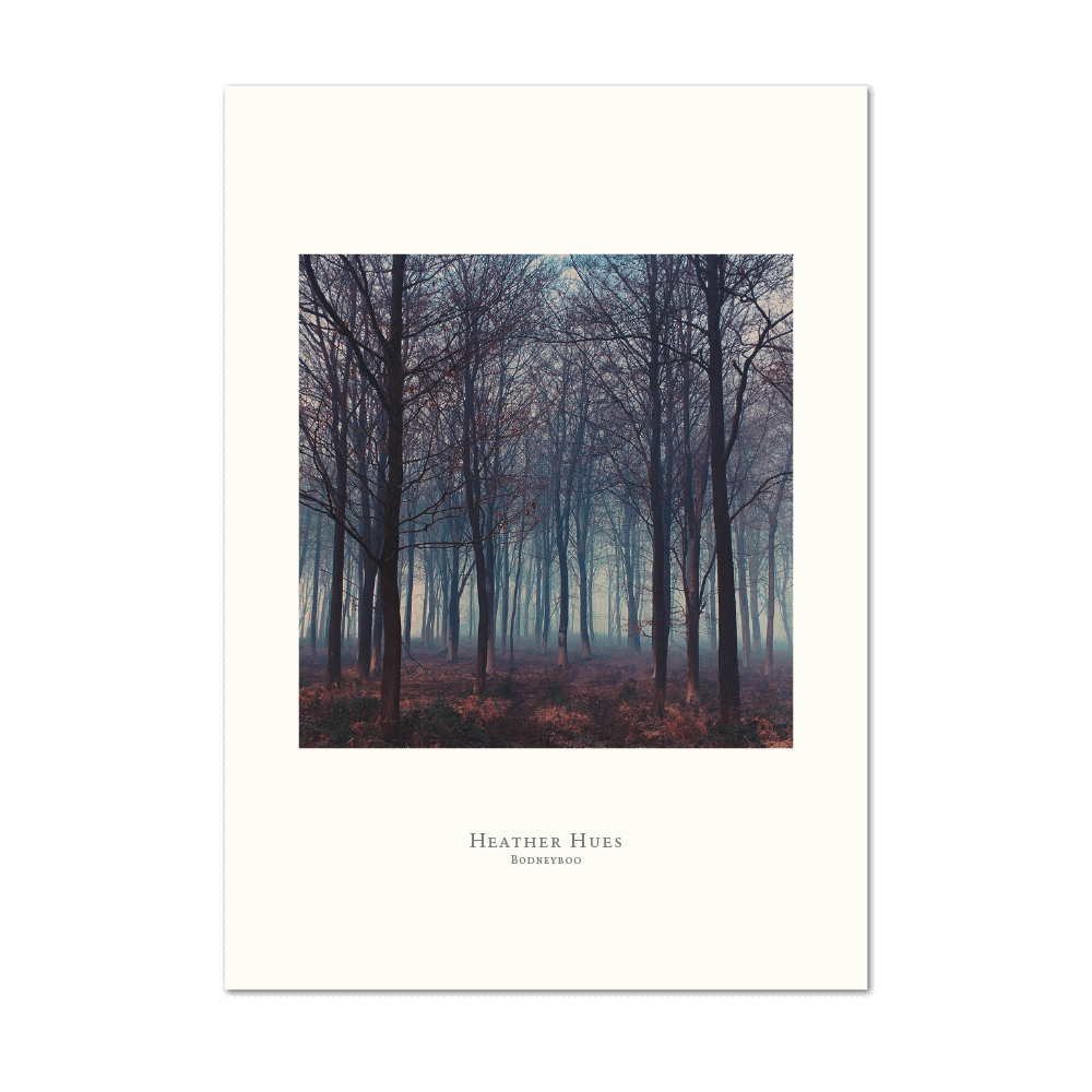 Picture of Heather Hues | Small Print