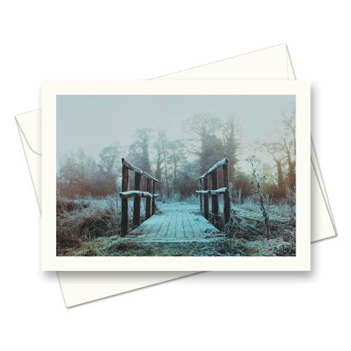 Picture of The Bridge - First light | Card