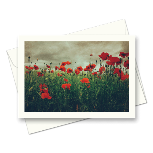 Picture of Poppies | Card