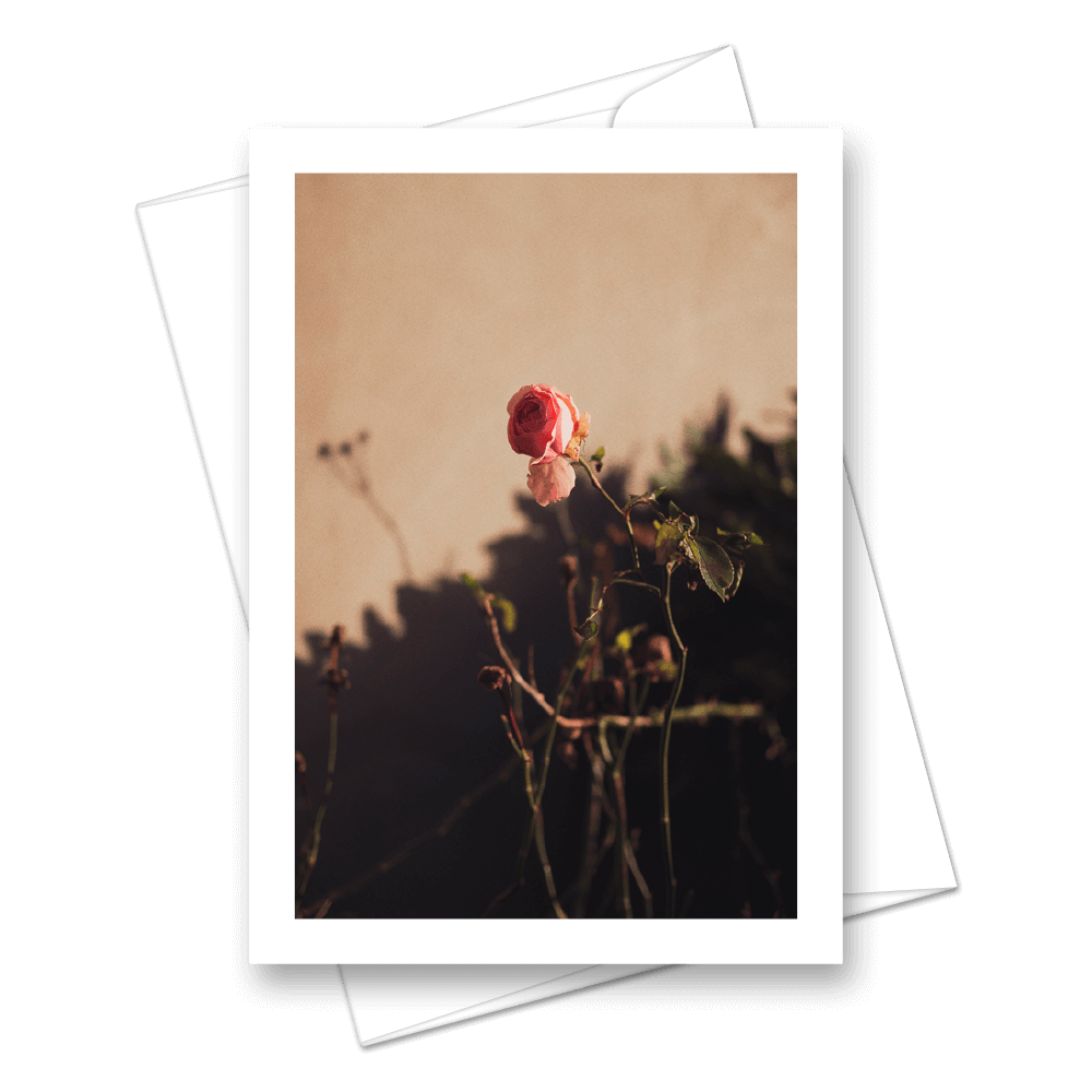 Picture of Last Of The Winter Flowers | Card