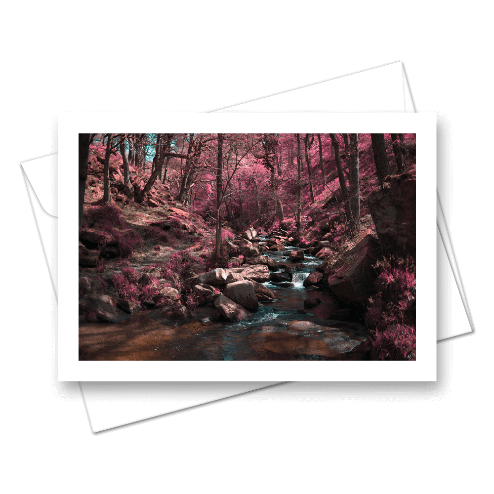 Picture of Pink Forrest | Card